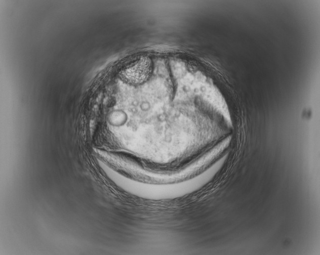 X0000114681398200911181220