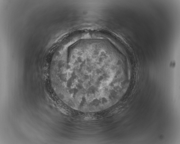 X0000114681399200911181220