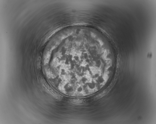 X0000114681401200911181220