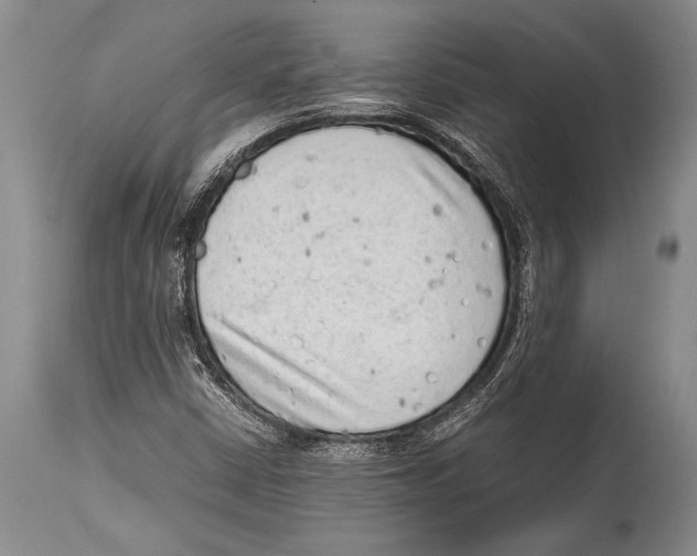 X0000114681402200911181220