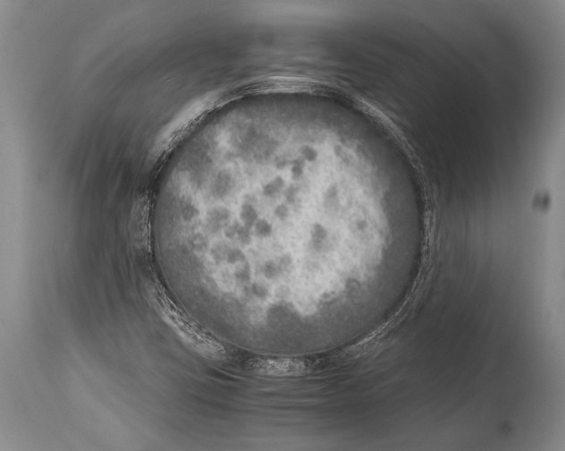 X0000114681403200911181220