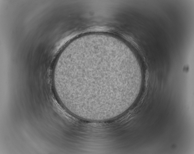 X0000114681404200911181220
