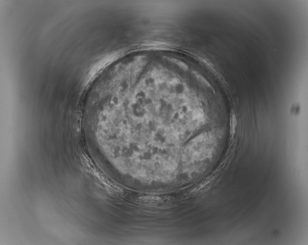 X0000114681405200911181220