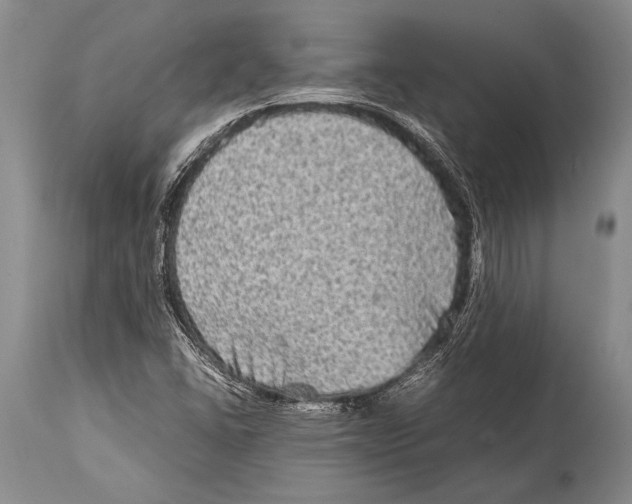 X0000114681406200911181220