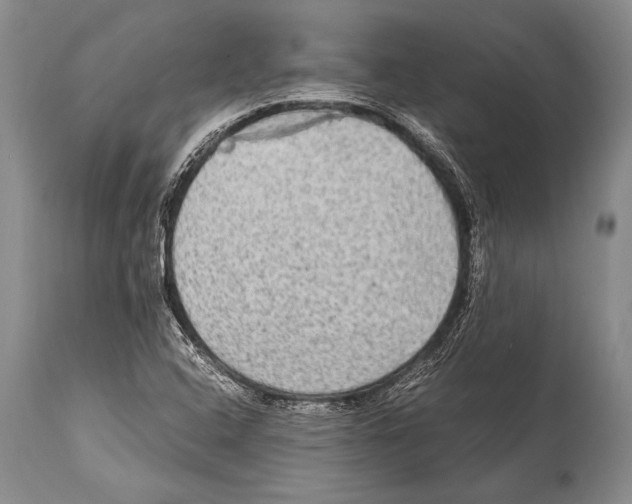 X0000114681408200911181220