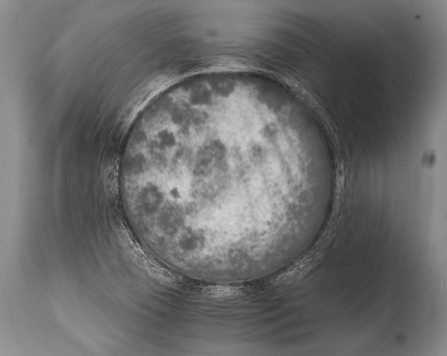 X0000114681409200911181220
