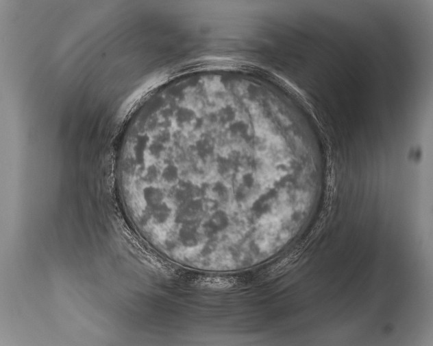 X0000114681411200911181220
