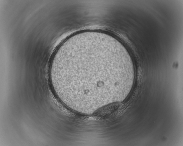 X0000114681412200911181220