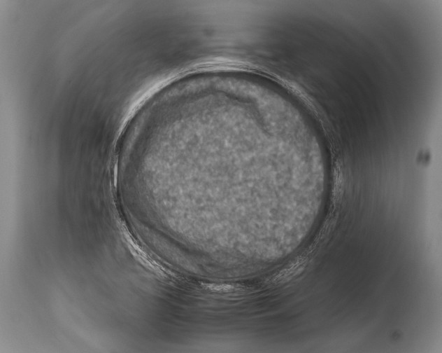 X0000114681413200911181220