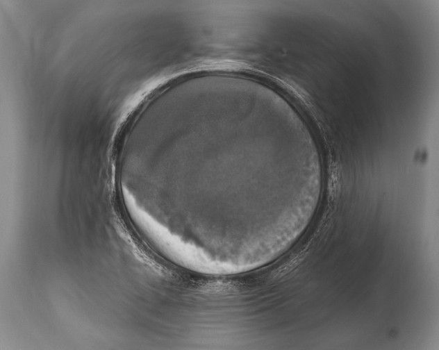 X0000114681414200911181220