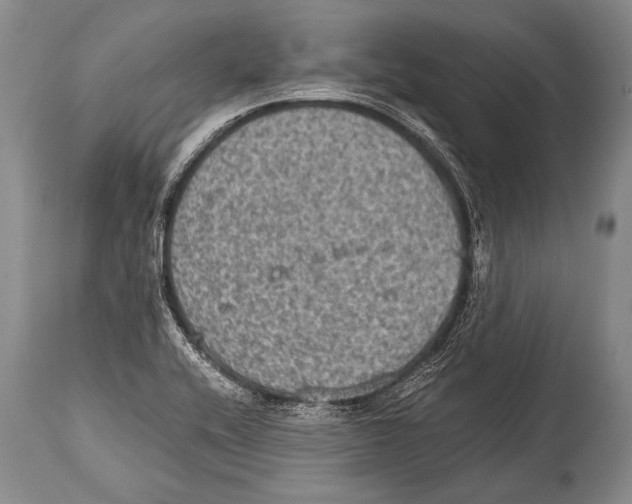 X0000114681416200911181220