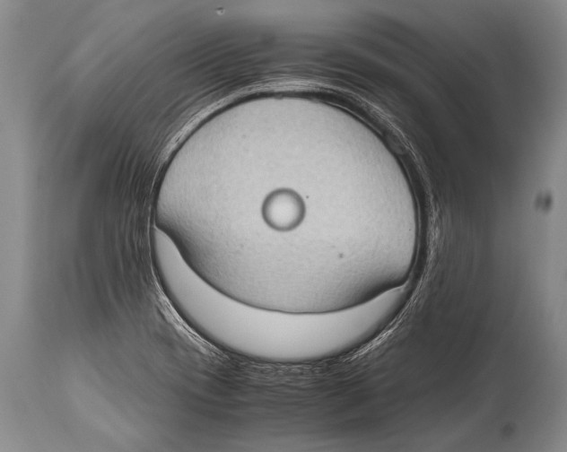 X0000114681417200911181220