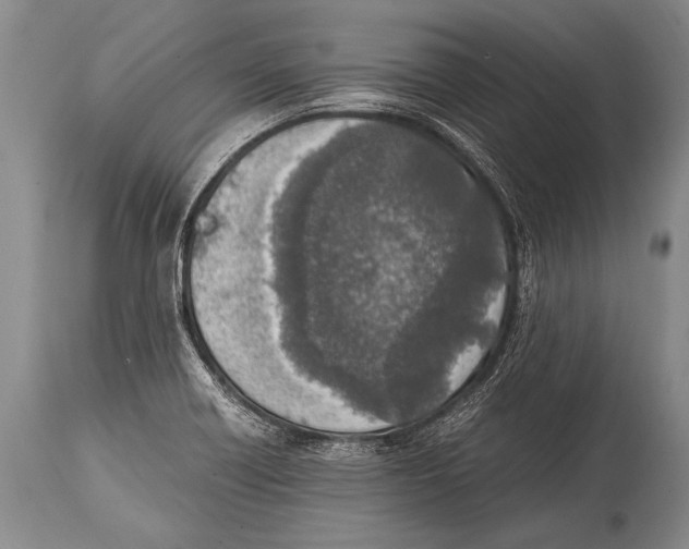X0000114681418200911181220