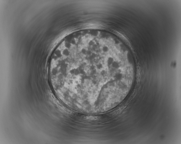 X0000114681419200911181220