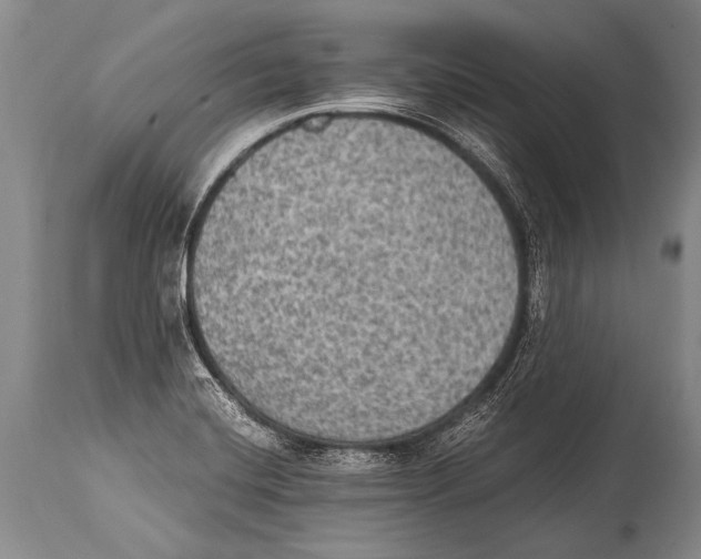 X0000114681420200911181220