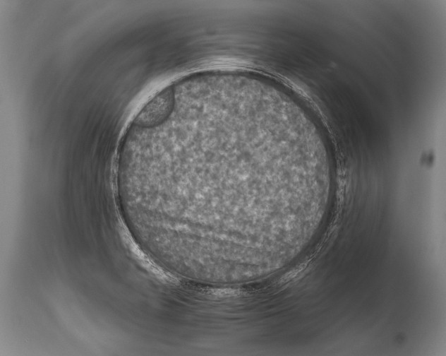 X0000114681421200911181220