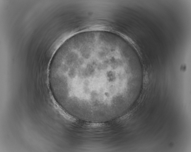 X0000114681423200911181220