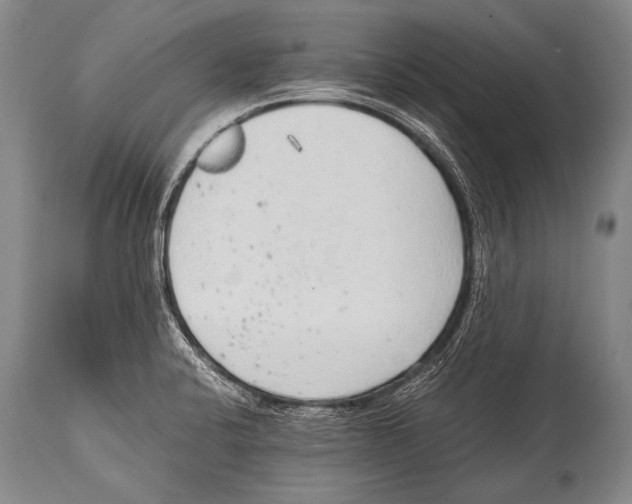 X0000114681424200911181220
