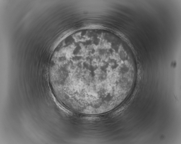 X0000114681425200911181220