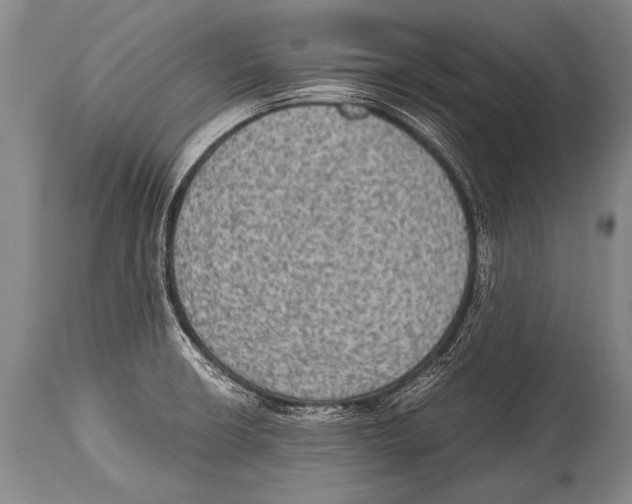 X0000114681426200911181220