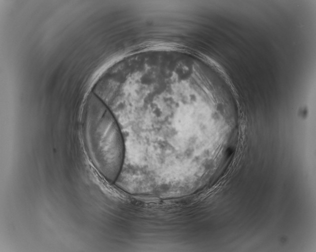 X0000114681427200911181220