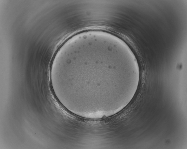 X0000114681428200911181220