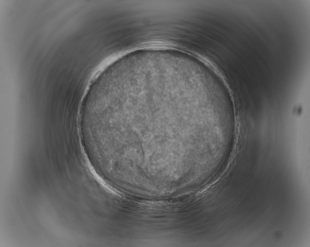 X0000114681429200911181220