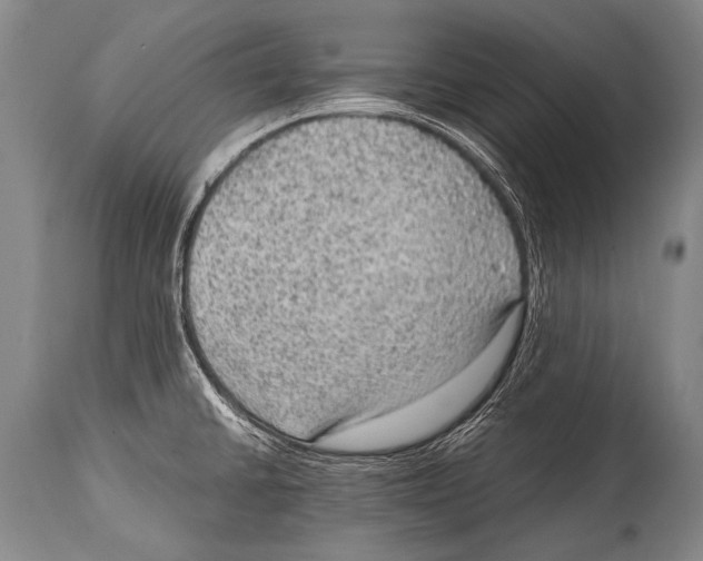 X0000114681430200911181220