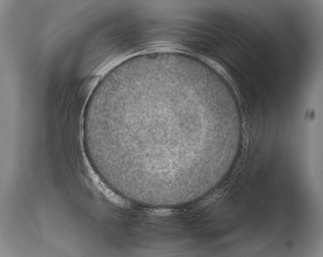 X0000114681431200911181220