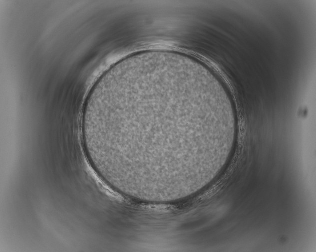 X0000114681432200911181220