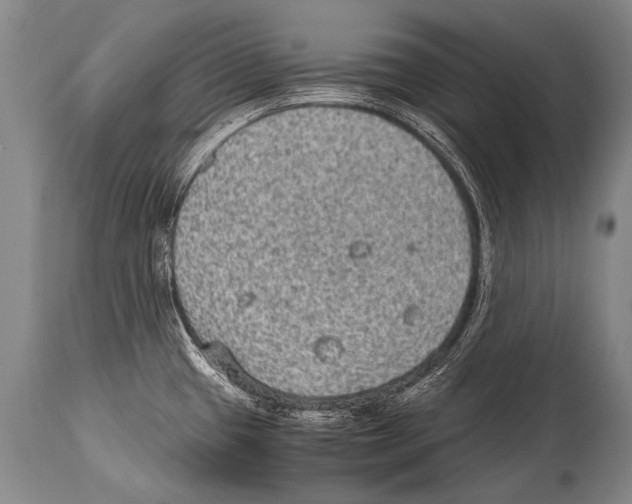 X0000114681433200911181220