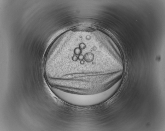 X0000114681434200911181220