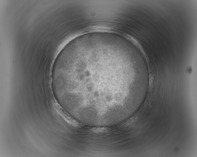 X0000114681435200911181220