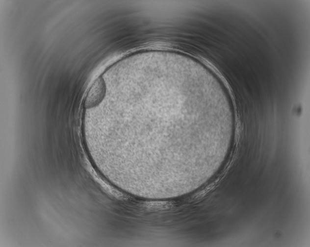 X0000114681437200911181220