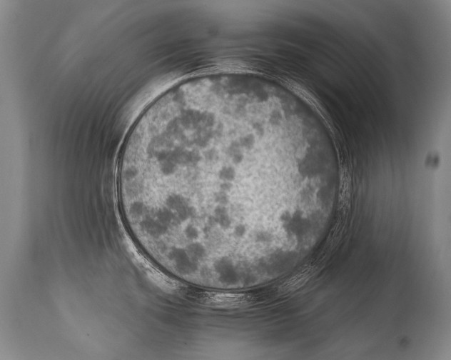 X0000114681439200911181220