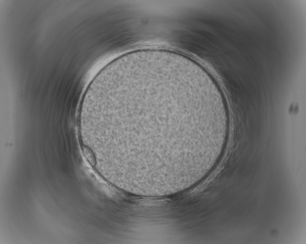 X0000114681440200911181220