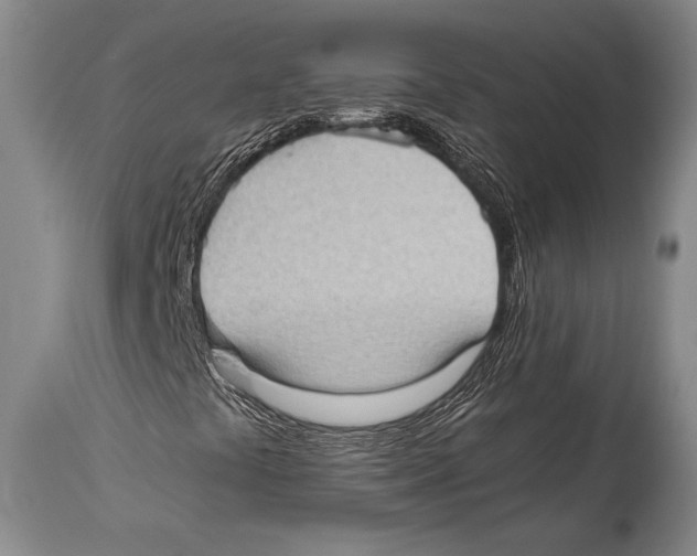 X0000114681441200911181220