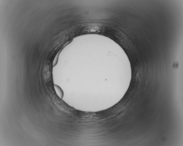 X0000114681442200911181219