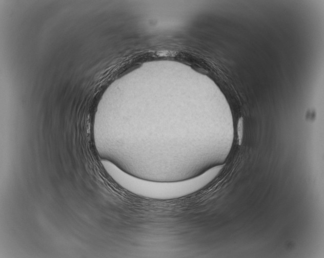X0000114681443200911181219