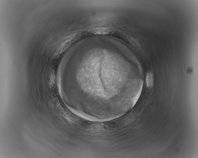 X0000114681444200911181219