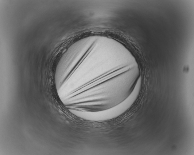 X0000114681445200911181219
