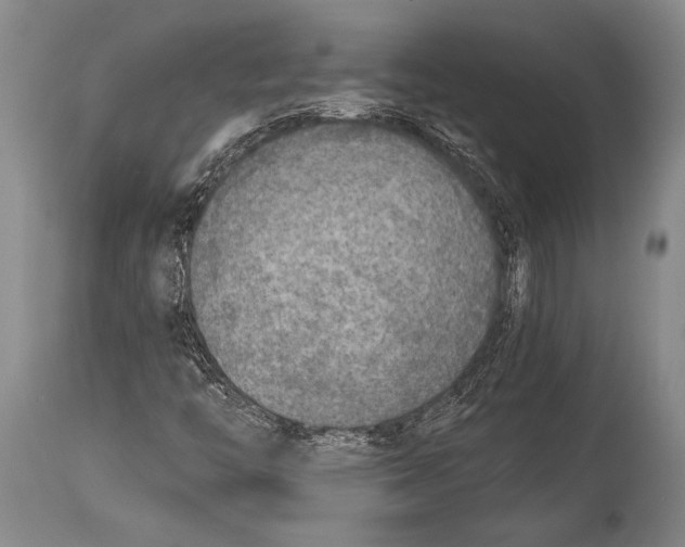 X0000114681446200911181219