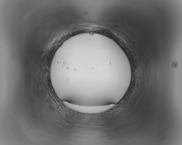 X0000114681447200911181219