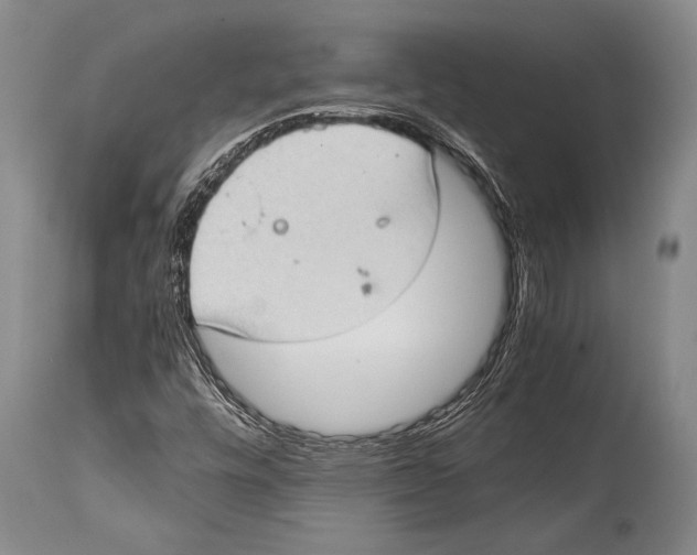 X0000114681448200911181219