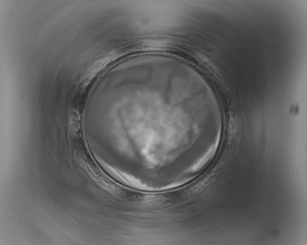 X0000114681449200911181219