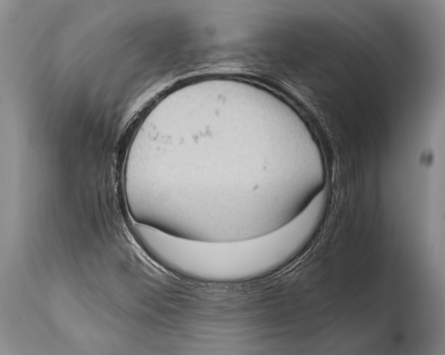 X0000114681452200911181219