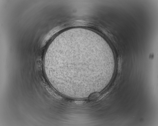X0000114681453200911181219