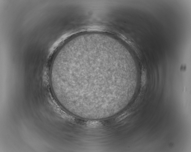 X0000114681454200911181219