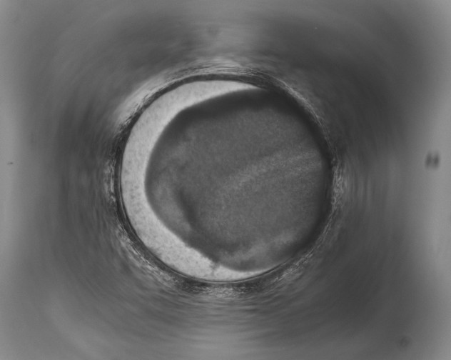 X0000114681455200911181219