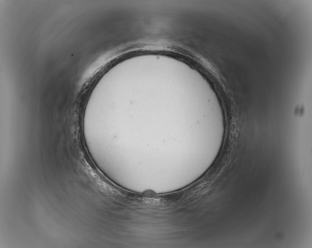 X0000114681456200911181219